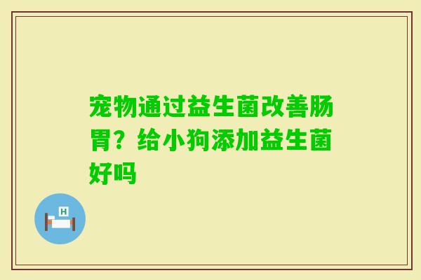 宠物通过益生菌改善肠胃？给小狗添加益生菌好吗