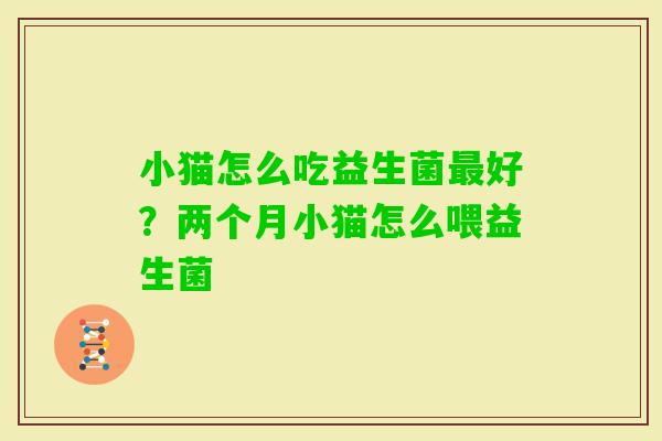 小猫怎么吃益生菌好？两个月小猫怎么喂益生菌