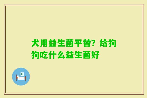 犬用益生菌平替？给狗狗吃什么益生菌好