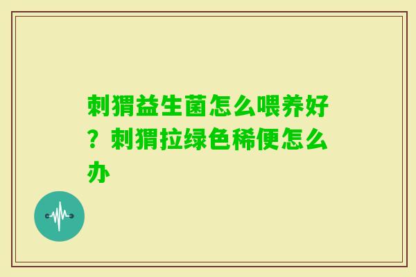 刺猬益生菌怎么喂养好？刺猬拉绿色稀便怎么办