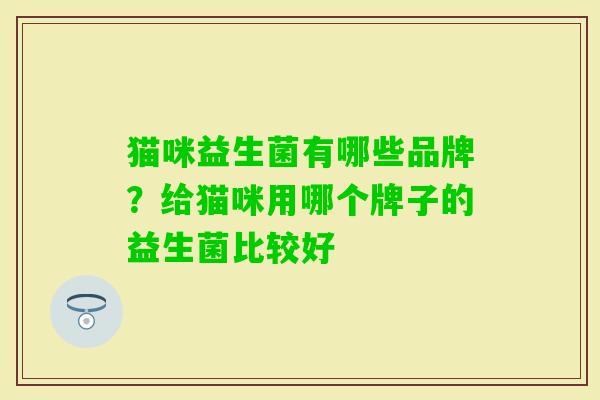 猫咪益生菌有哪些品牌？给猫咪用哪个牌子的益生菌比较好