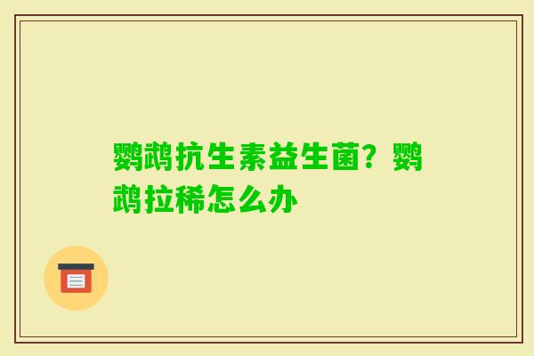 鹦鹉抗生素益生菌？鹦鹉拉稀怎么办