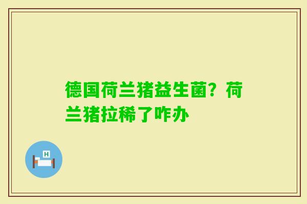 德国荷兰猪益生菌？荷兰猪拉稀了咋办