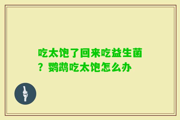 吃太饱了回来吃益生菌？鹦鹉吃太饱怎么办