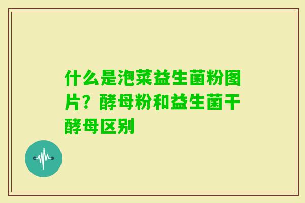什么是泡菜益生菌粉图片？酵母粉和益生菌干酵母区别