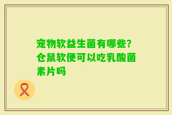 宠物软益生菌有哪些？仓鼠软便可以吃乳酸菌素片吗