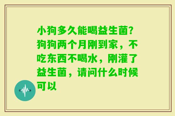 小狗多久能喝益生菌？狗狗两个月刚到家，不吃东西不喝水，刚灌了益生菌，请问什么时候可以