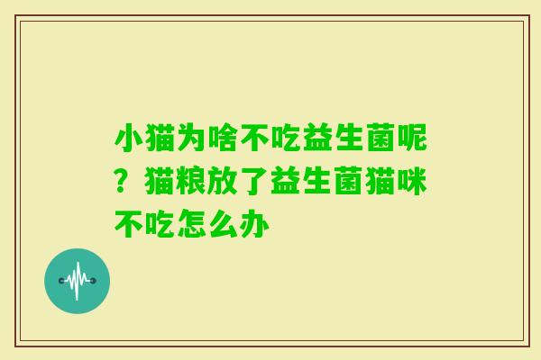 小猫为啥不吃益生菌呢？猫粮放了益生菌猫咪不吃怎么办