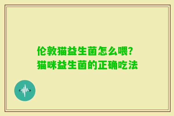 伦敦猫益生菌怎么喂？猫咪益生菌的正确吃法