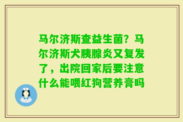 马尔济斯查益生菌？马尔济斯犬胰腺炎又复发了，出院回家后要注意什么能喂红狗营养膏吗