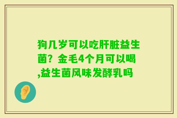 狗几岁可以吃益生菌？金毛4个月可以喝,益生菌风味发酵乳吗