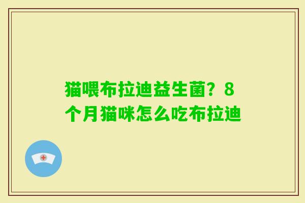 猫喂布拉迪益生菌？8个月猫咪怎么吃布拉迪