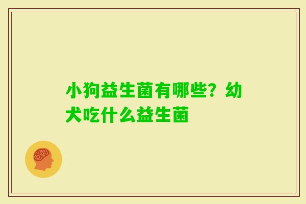 小狗益生菌有哪些？幼犬吃什么益生菌