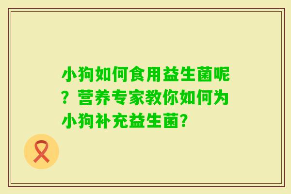 小狗如何食用益生菌呢?营养专家教你如何为小狗补充益生菌? 小狗如何食用益生菌呢?营养专家教你如何为小狗补充益生菌?