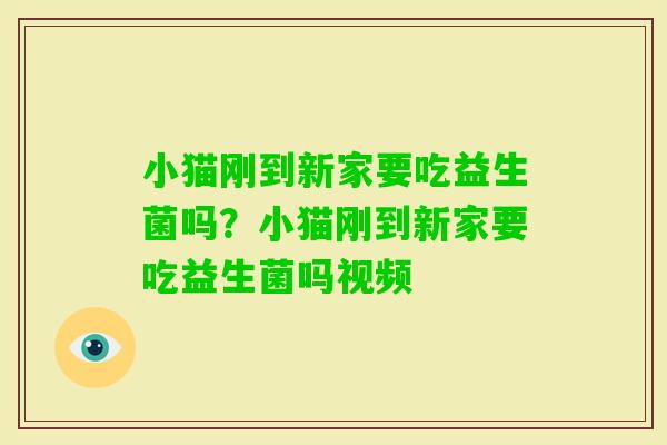 小猫刚到新家要吃益生菌吗？小猫刚到新家要吃益生菌吗视频