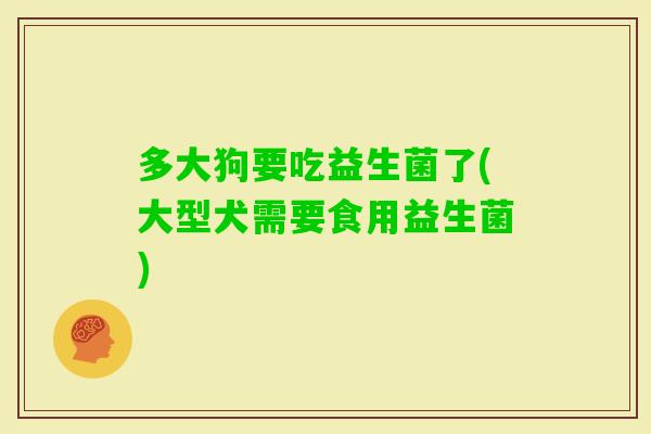 多大狗要吃益生菌了(大型犬需要食用益生菌)