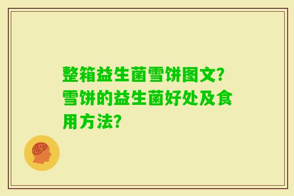 整箱益生菌雪饼图文？雪饼的益生菌好处及食用方法？