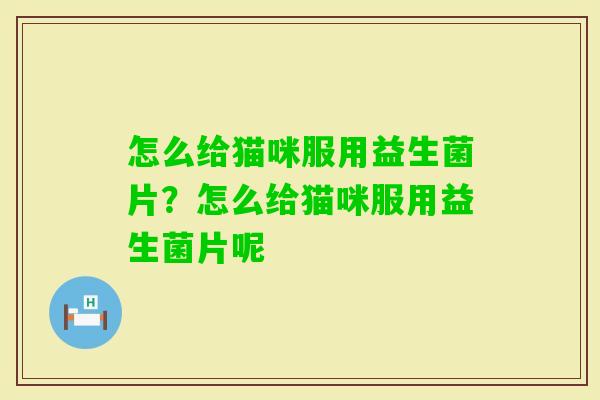 怎么给猫咪服用益生菌片？怎么给猫咪服用益生菌片呢