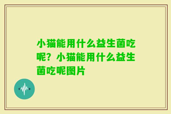 小猫能用什么益生菌吃呢？小猫能用什么益生菌吃呢图片