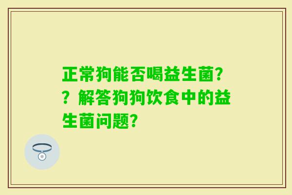 正常狗能否喝益生菌？？解答狗狗饮食中的益生菌问题？