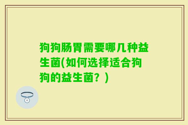 狗狗肠胃需要哪几种益生菌(如何选择适合狗狗的益生菌？)
