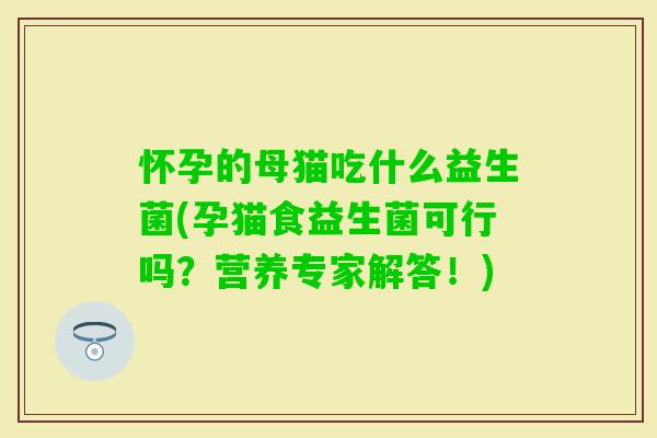 怀孕的母猫吃什么益生菌(孕猫食益生菌可行吗？营养专家解答！)