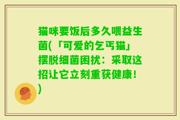 猫咪要饭后多久喂益生菌(「可爱的乞丐猫」摆脱困扰：采取这招让它立刻重获健康！)