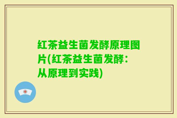 红茶益生菌发酵原理图片(红茶益生菌发酵：从原理到实践)