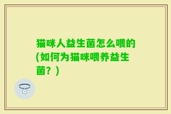 猫咪人益生菌怎么喂的(如何为猫咪喂养益生菌？)