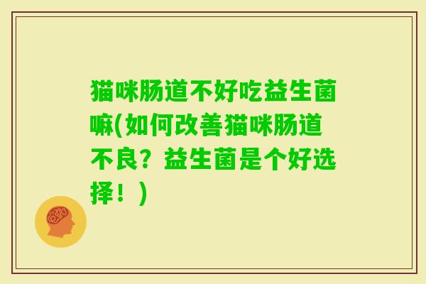 猫咪肠道不好吃益生菌嘛(如何改善猫咪肠道不良?益生菌是个好选择!) 猫咪肠道不好吃益生菌嘛(如何改善猫咪肠道不良?益生菌是个好选择!)