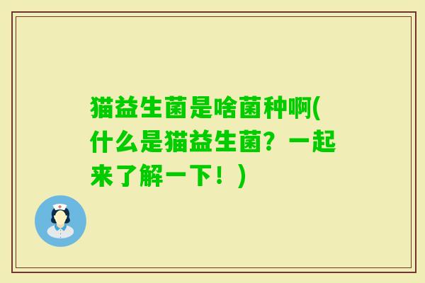 猫益生菌是啥菌种啊(什么是猫益生菌？一起来了解一下！)
