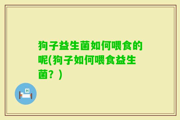 狗子益生菌如何喂食的呢(狗子如何喂食益生菌?) 狗子益生菌如何喂食的呢(狗子如何喂食益生菌?)