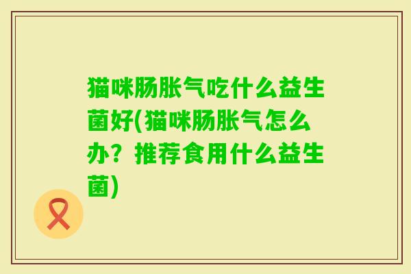 猫咪肠吃什么益生菌好(猫咪肠怎么办？推荐食用什么益生菌)