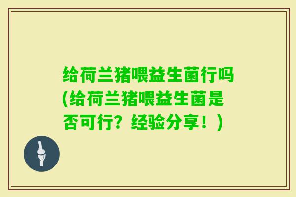 给荷兰猪喂益生菌行吗(给荷兰猪喂益生菌是否可行？经验分享！)