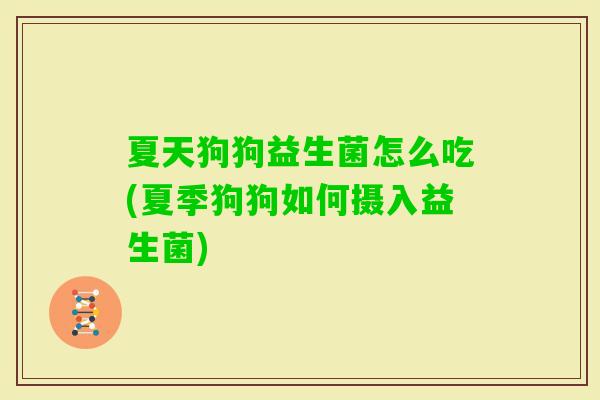 夏天狗狗益生菌怎么吃(夏季狗狗如何摄入益生菌)