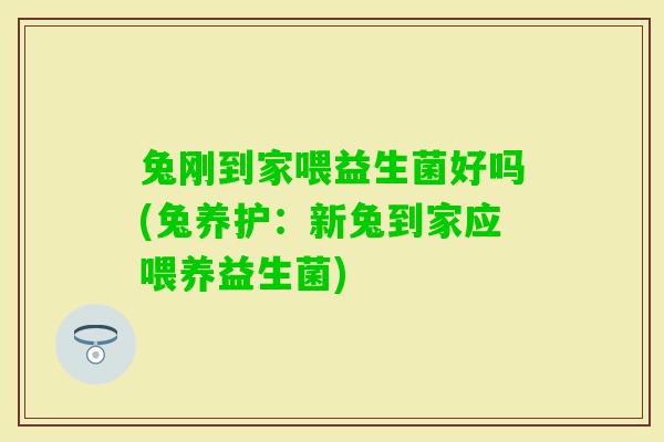 兔刚到家喂益生菌好吗(兔养护：新兔到家应喂养益生菌)