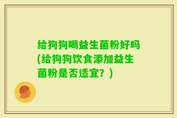 给狗狗喝益生菌粉好吗(给狗狗饮食添加益生菌粉是否适宜？)