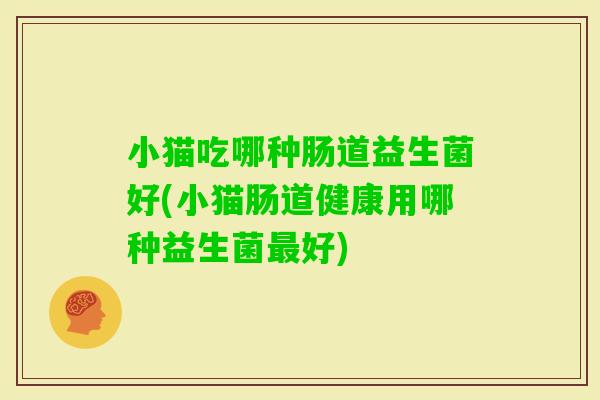 小猫吃哪种肠道益生菌好(小猫肠道健康用哪种益生菌好)