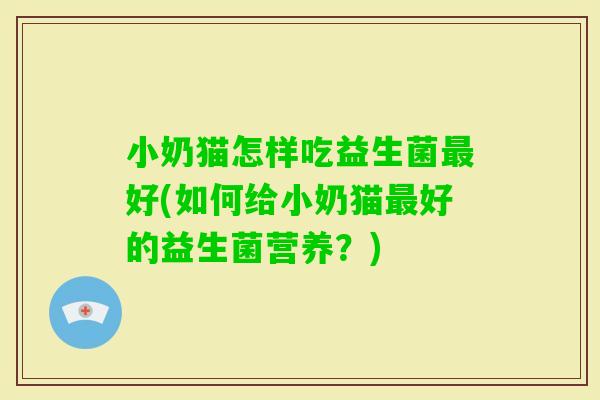 小奶猫怎样吃益生菌好(如何给小奶猫好的益生菌营养？)