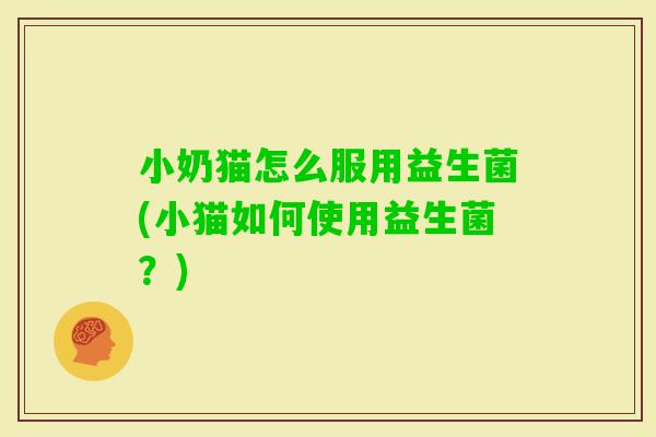 小奶猫怎么服用益生菌(小猫如何使用益生菌？)