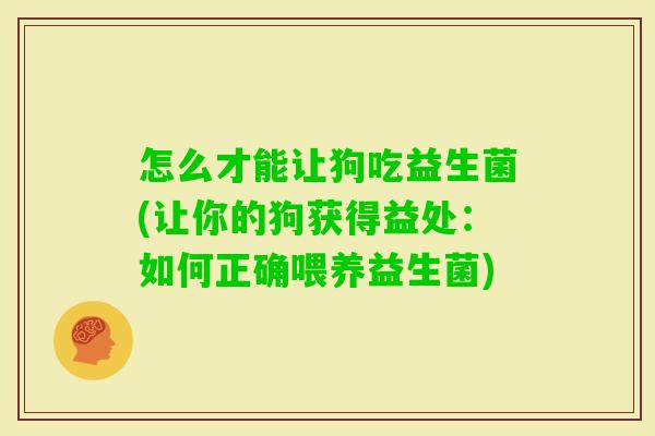 怎么才能让狗吃益生菌(让你的狗获得益处：如何正确喂养益生菌)