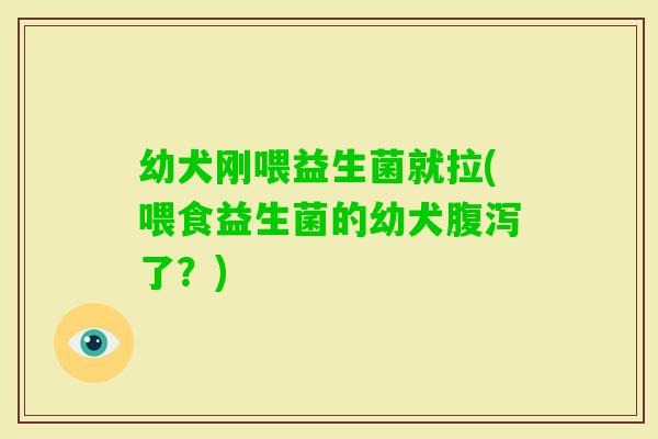幼犬刚喂益生菌就拉(喂食益生菌的幼犬了？)