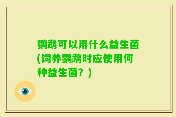 鹦鹉可以用什么益生菌(饲养鹦鹉时应使用何种益生菌？)