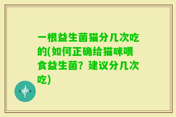 一根益生菌猫分几次吃的(如何正确给猫咪喂食益生菌？建议分几次吃)