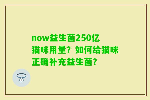 now益生菌250亿猫咪用量？如何给猫咪正确补充益生菌？
