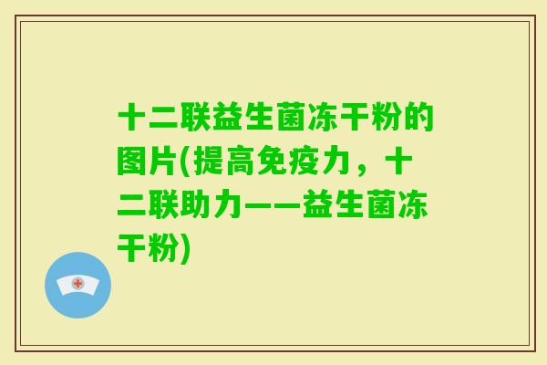 十二联益生菌冻干粉的图片(提高力，十二联助力——益生菌冻干粉)