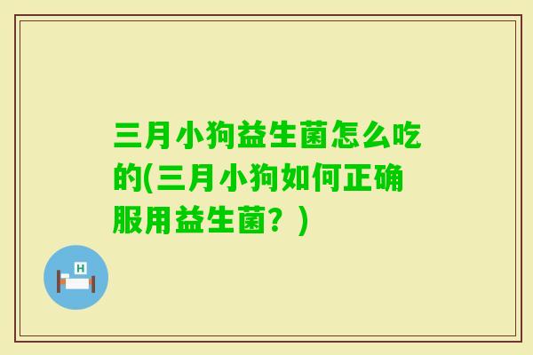 三月小狗益生菌怎么吃的(三月小狗如何正确服用益生菌？)