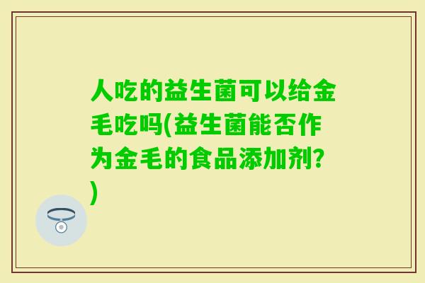 人吃的益生菌可以给金毛吃吗(益生菌能否作为金毛的食品添加剂？)