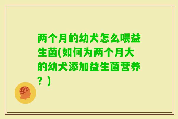 两个月的幼犬怎么喂益生菌(如何为两个月大的幼犬添加益生菌营养？)