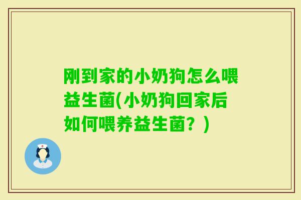 刚到家的小奶狗怎么喂益生菌(小奶狗回家后如何喂养益生菌？)